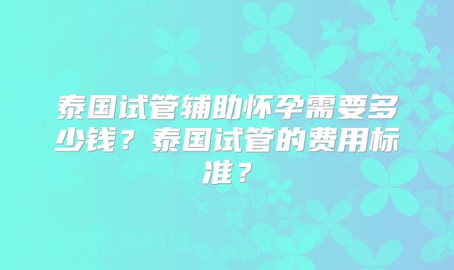 泰国试管辅助怀孕需要多少钱？泰国试管的费用标准？
