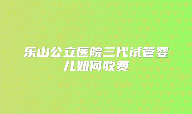 乐山公立医院三代试管婴儿如何收费