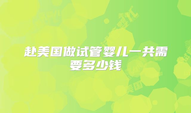 赴美国做试管婴儿一共需要多少钱