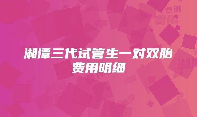 湘潭三代试管生一对双胎费用明细