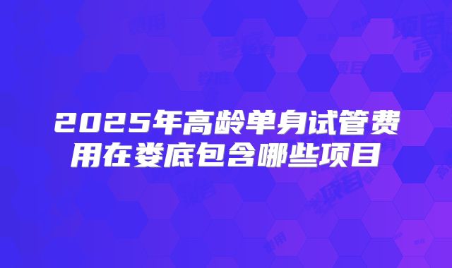 2025年高龄单身试管费用在娄底包含哪些项目