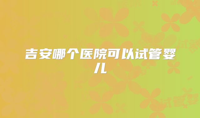 吉安哪个医院可以试管婴儿
