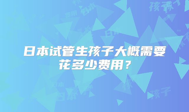 日本试管生孩子大概需要花多少费用？