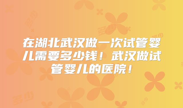 在湖北武汉做一次试管婴儿需要多少钱！武汉做试管婴儿的医院！