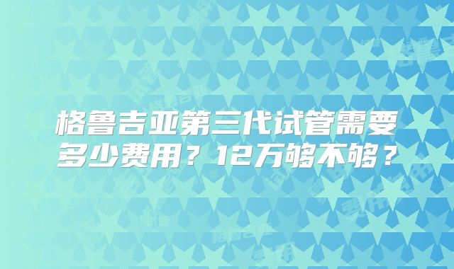 格鲁吉亚第三代试管需要多少费用？12万够不够？