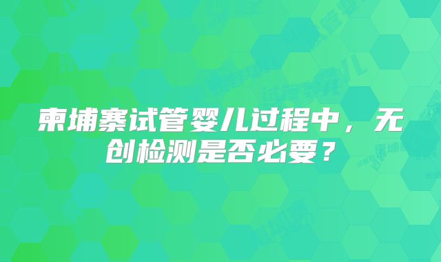 柬埔寨试管婴儿过程中，无创检测是否必要？