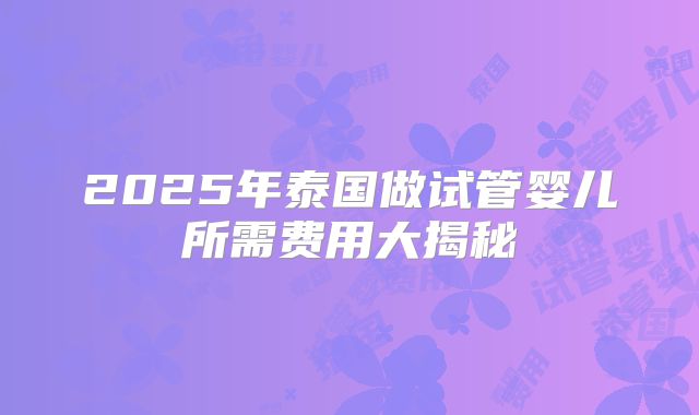 2025年泰国做试管婴儿所需费用大揭秘