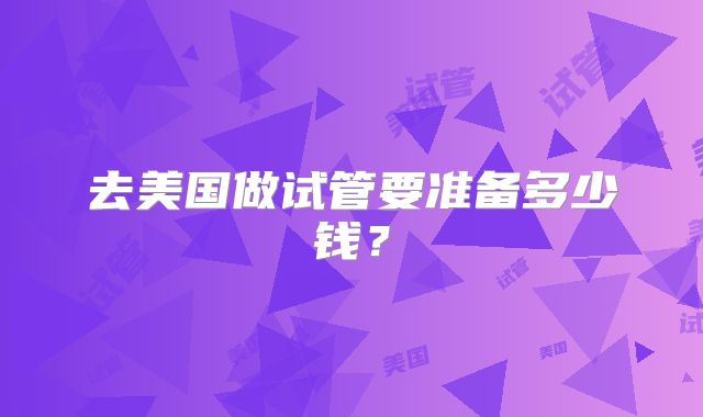 去美国做试管要准备多少钱？