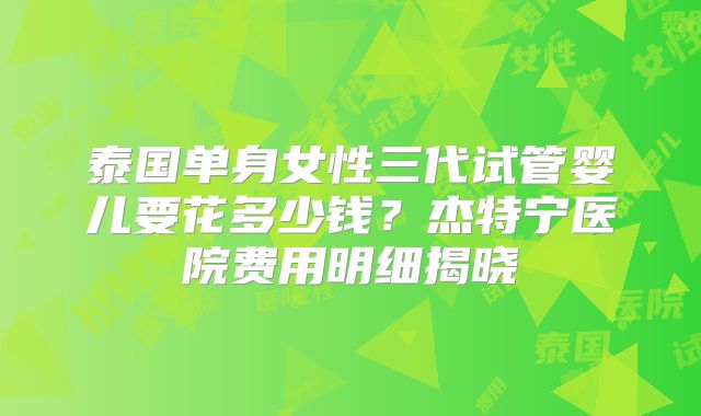 泰国单身女性三代试管婴儿要花多少钱？杰特宁医院费用明细揭晓