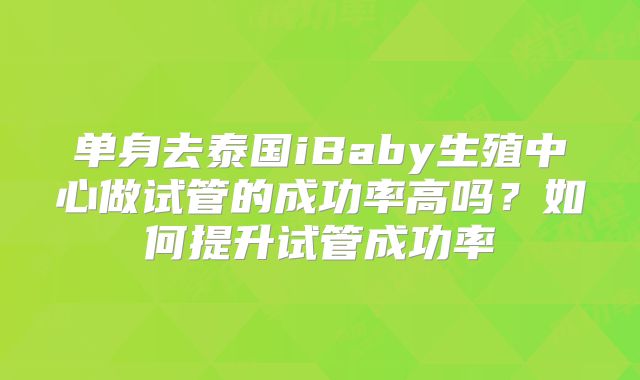 单身去泰国iBaby生殖中心做试管的成功率高吗？如何提升试管成功率