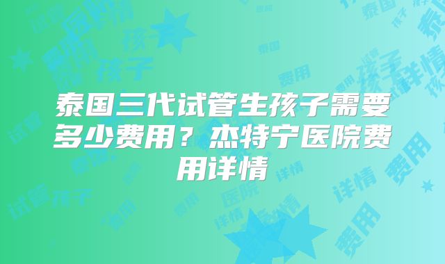 泰国三代试管生孩子需要多少费用？杰特宁医院费用详情
