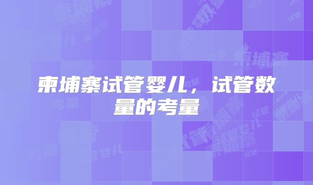 柬埔寨试管婴儿，试管数量的考量