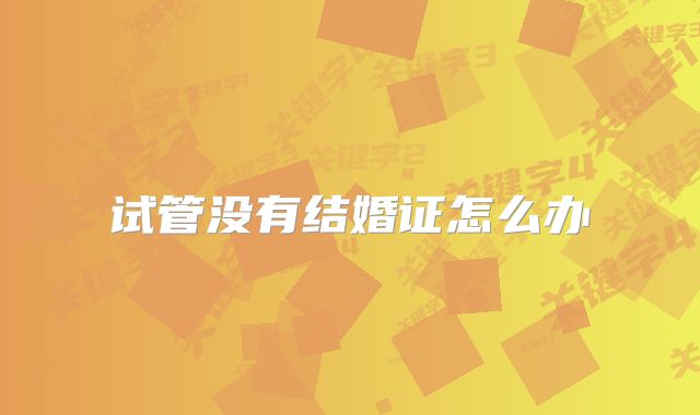 试管没有结婚证怎么办