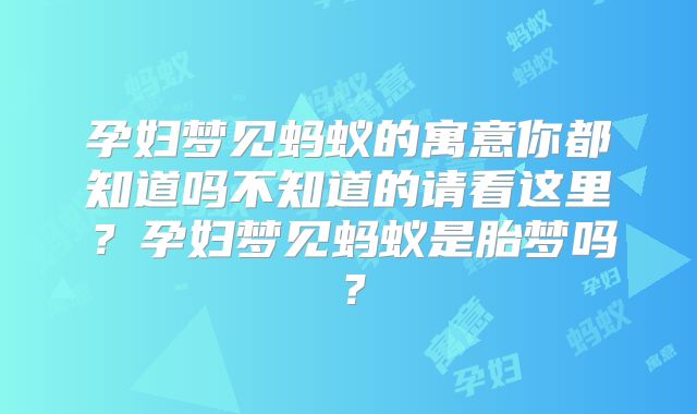 孕妇梦见蚂蚁的寓意你都知道吗不知道的请看这里？孕妇梦见蚂蚁是胎梦吗？