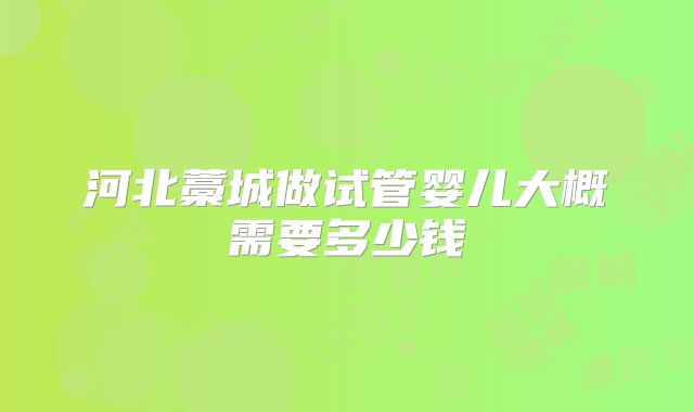 河北藁城做试管婴儿大概需要多少钱