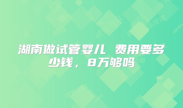 湖南做试管婴儿 费用要多少钱，8万够吗