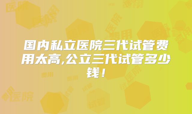 国内私立医院三代试管费用太高,公立三代试管多少钱！