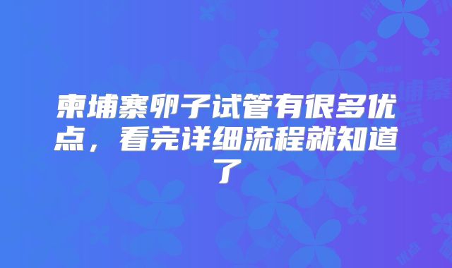 柬埔寨卵子试管有很多优点，看完详细流程就知道了
