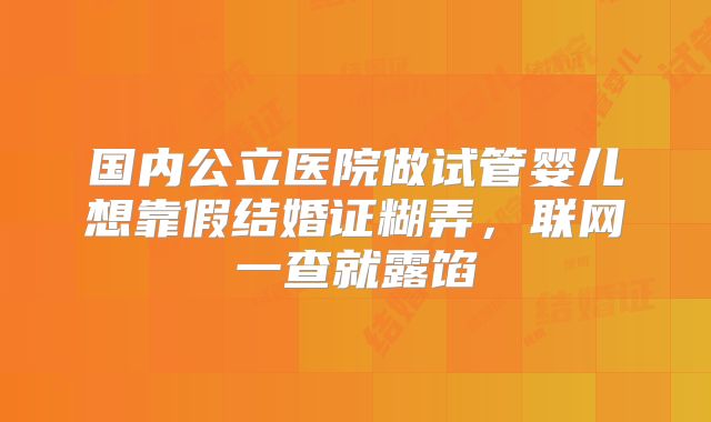 国内公立医院做试管婴儿想靠假结婚证糊弄,联网一查就露馅