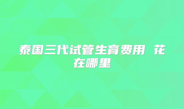 泰国三代试管生育费用 花在哪里