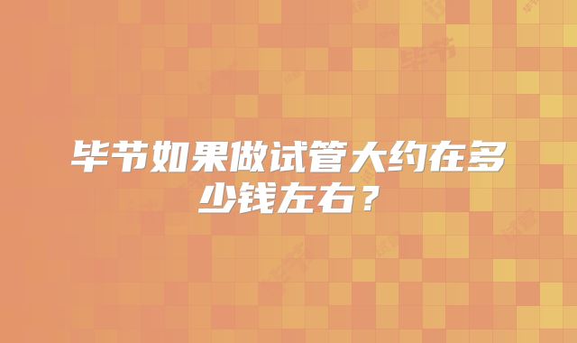 毕节如果做试管大约在多少钱左右？