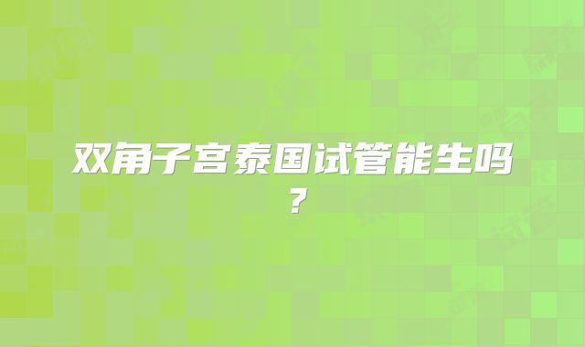 双角子宫泰国试管能生吗？