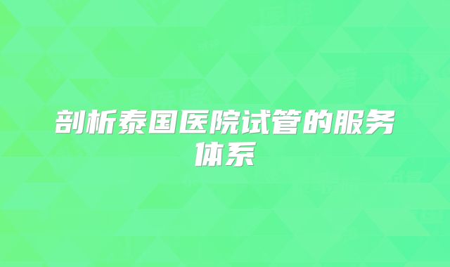 剖析泰国医院试管的服务体系