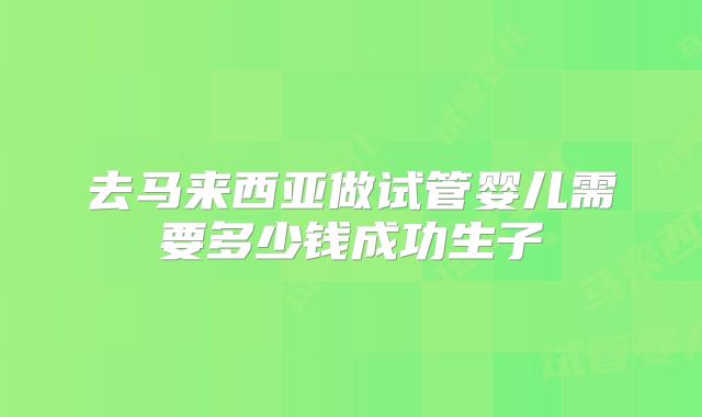 去马来西亚做试管婴儿需要多少钱成功生子