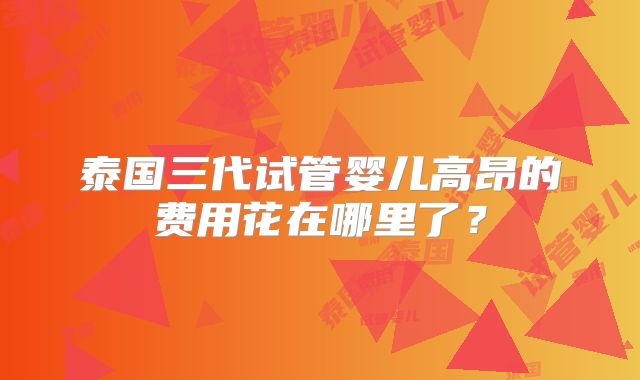 泰国三代试管婴儿高昂的费用花在哪里了？