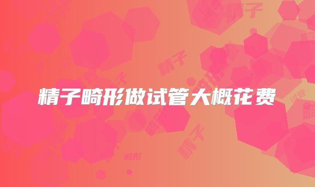 精子畸形做试管大概花费