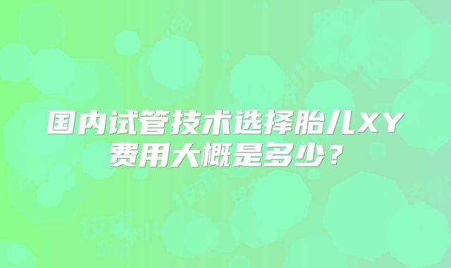 国内试管技术选择胎儿XY费用大概是多少?
