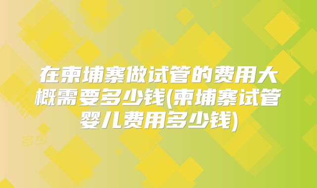 在柬埔寨做试管的费用大概需要多少钱(柬埔寨试管婴儿费用多少钱)