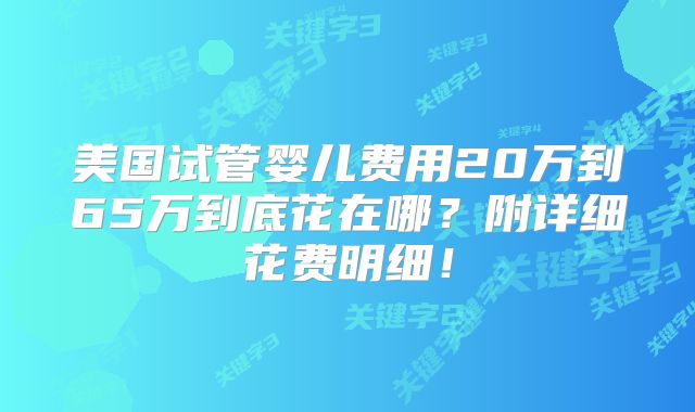 美国试管婴儿费用20万到65万到底花在哪？附详细花费明细！