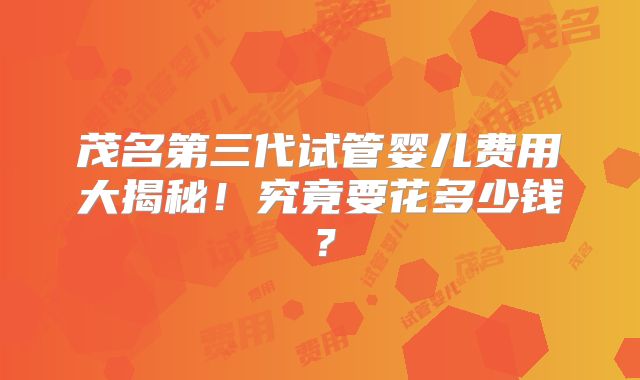 茂名第三代试管婴儿费用大揭秘！究竟要花多少钱？