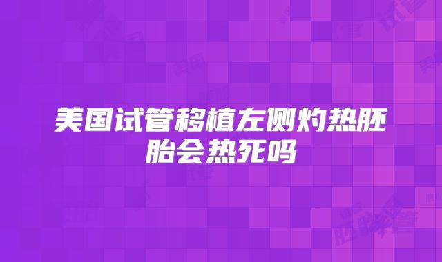 美国试管移植左侧灼热胚胎会热死吗