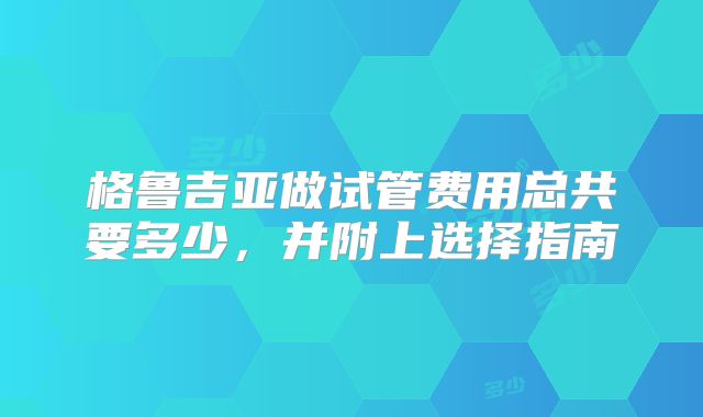 格鲁吉亚做试管费用总共要多少，并附上选择指南