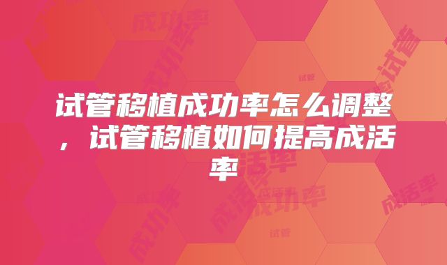 试管移植成功率怎么调整，试管移植如何提高成活率