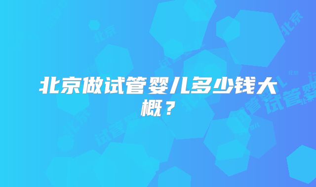北京做试管婴儿多少钱大概？