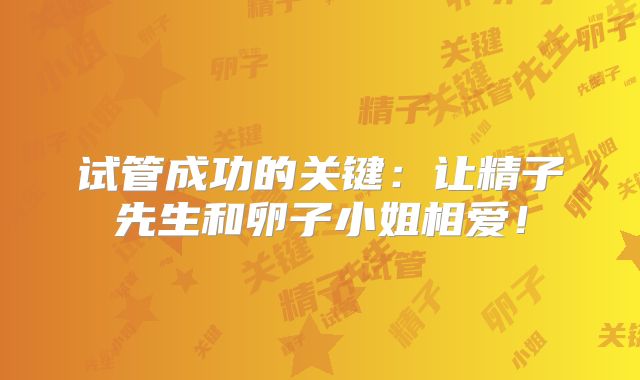 试管成功的关键：让精子先生和卵子小姐相爱！