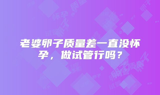 老婆卵子质量差一直没怀孕，做试管行吗？