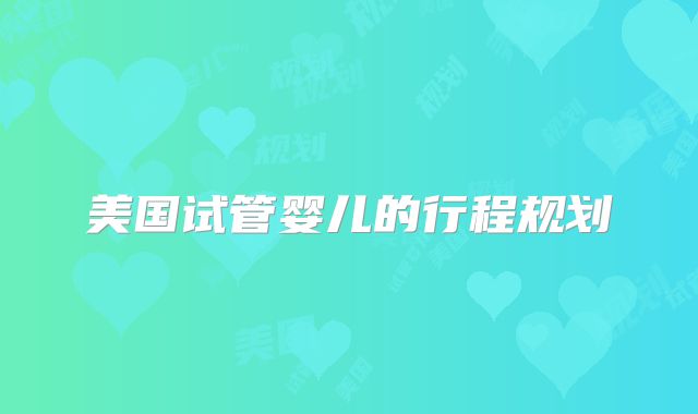 美国试管婴儿的行程规划