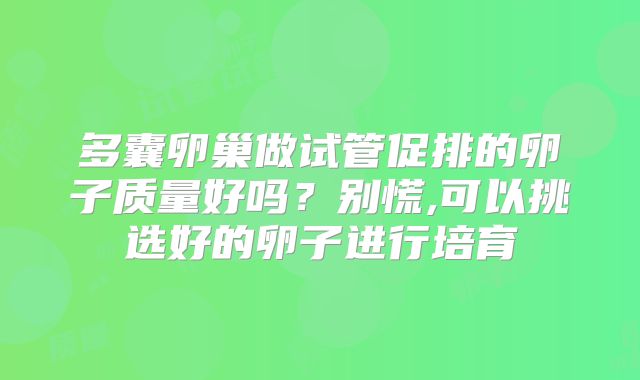 多囊卵巢做试管促排的卵子质量好吗？别慌,可以挑选好的卵子进行培育