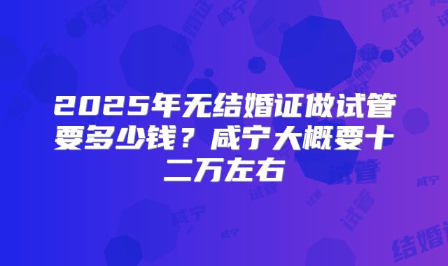 2025年无结婚证做试管要多少钱?咸宁大概要十二万左右