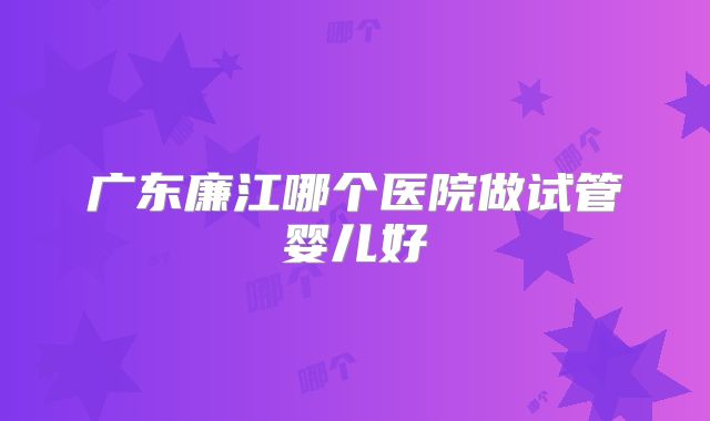 广东廉江哪个医院做试管婴儿好