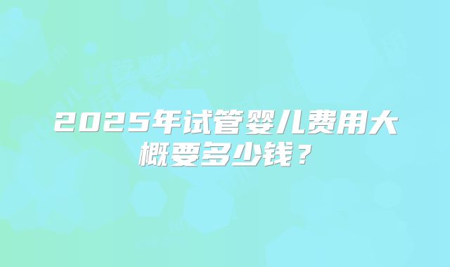 2025年试管婴儿费用大概要多少钱？