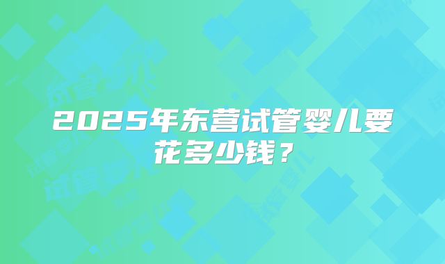2025年东营试管婴儿要花多少钱？