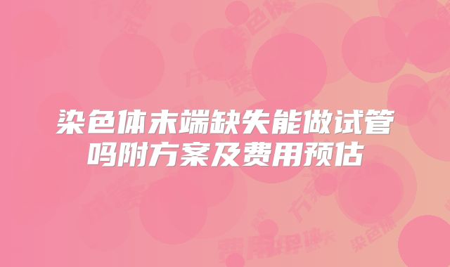 染色体末端缺失能做试管吗附方案及费用预估