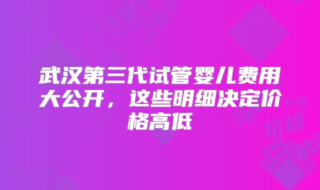 武汉第三代试管婴儿费用大公开，这些明细决定价格高低