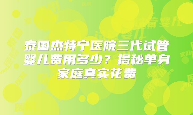泰国杰特宁医院三代试管婴儿费用多少?揭秘单身家庭真实花费