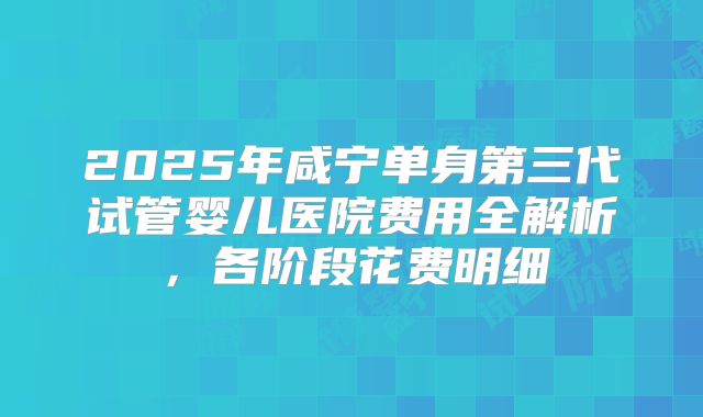 2025年咸宁单身第三代试管婴儿医院费用全解析，各阶段花费明细